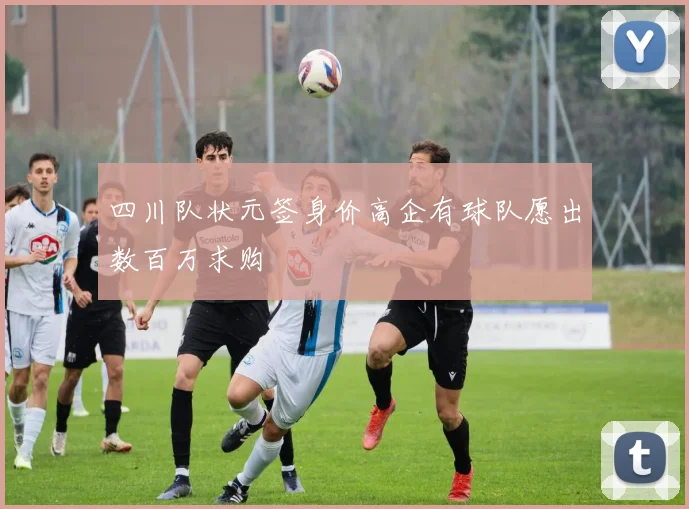 四川队状元签身价高企有球队愿出数百万求购